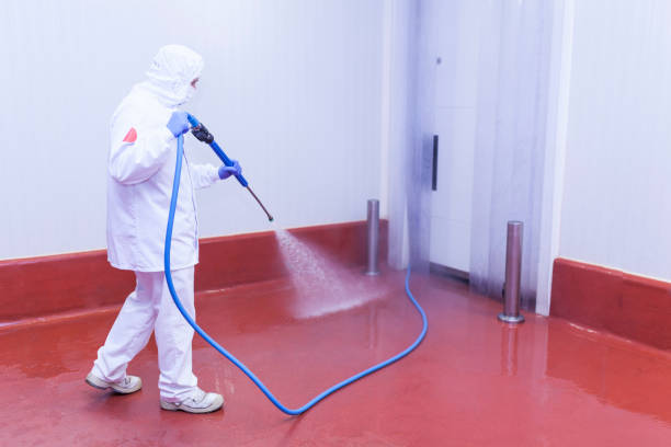 Best Playground Equipment Cleaning  in Cumming, GA